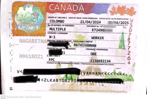 whatsapp image 2026 02 345